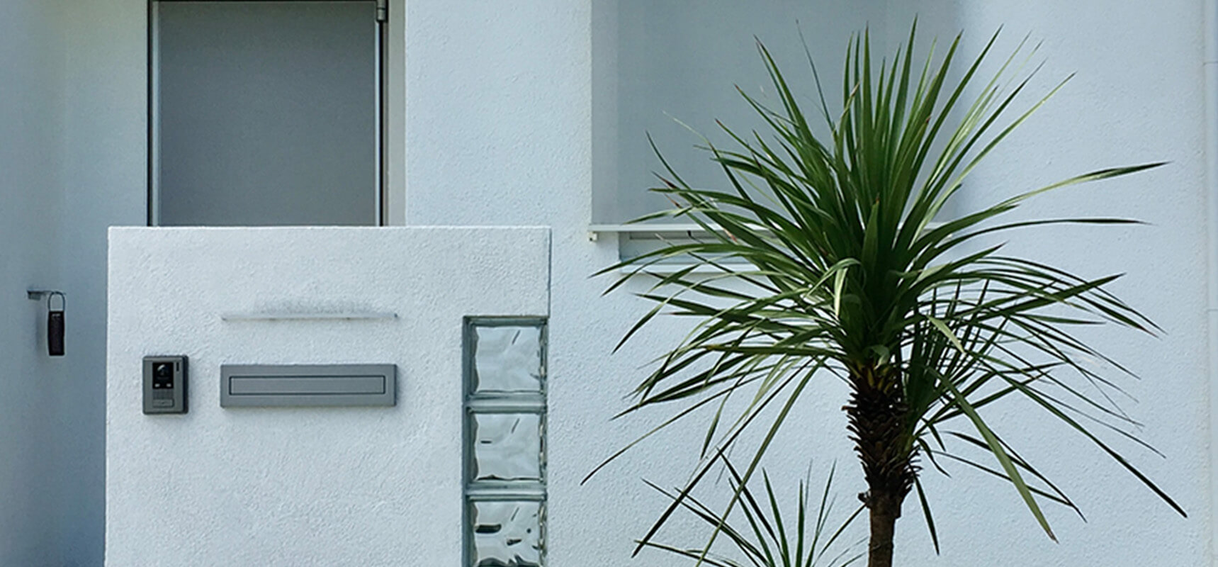 住宅の入口に植えられた樹木